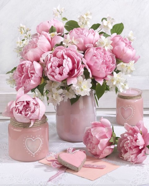 Marianna-Lokshina пионы