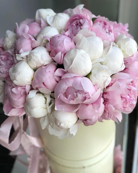 Открытка «пион»