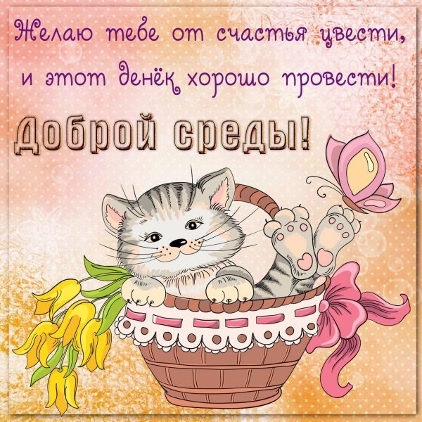 Поздравление со средой
