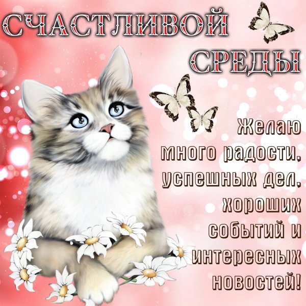 Открытки отличной среды