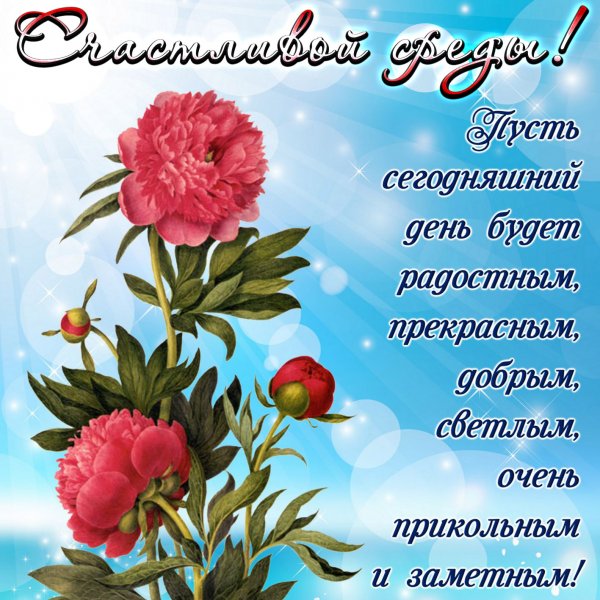 Пожелания на день