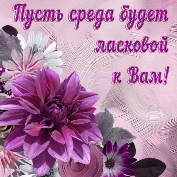 Пожелания доброй среды