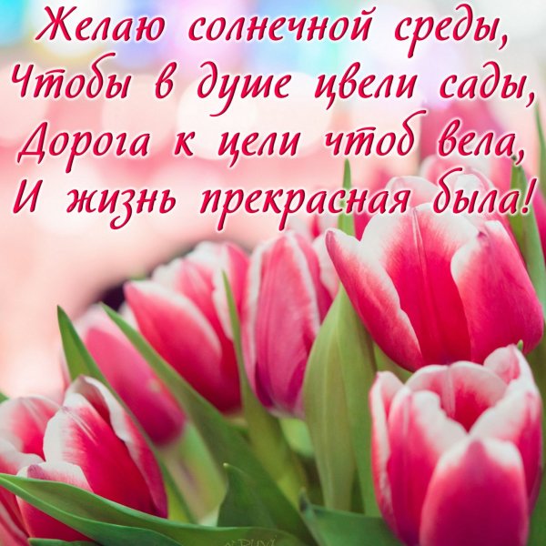 Пожелания доброго утра с тюльпанами