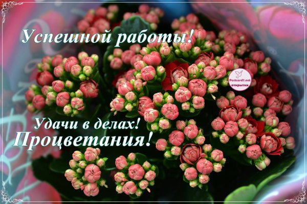 Успехов и процветания в работе