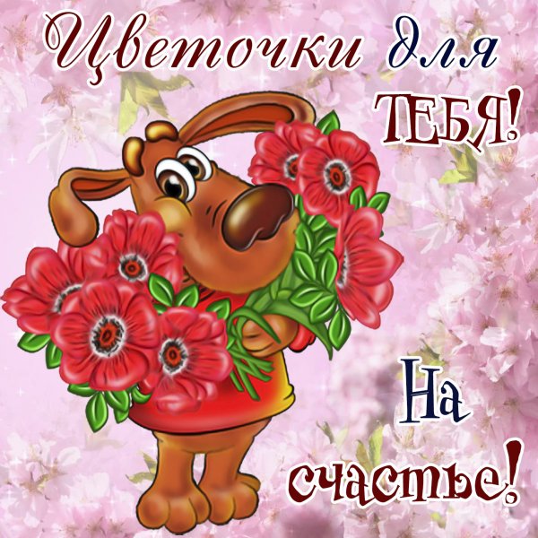 Желаем счастья