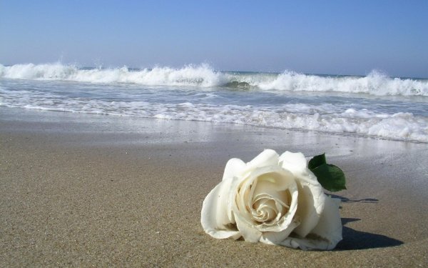 Открытки с морем