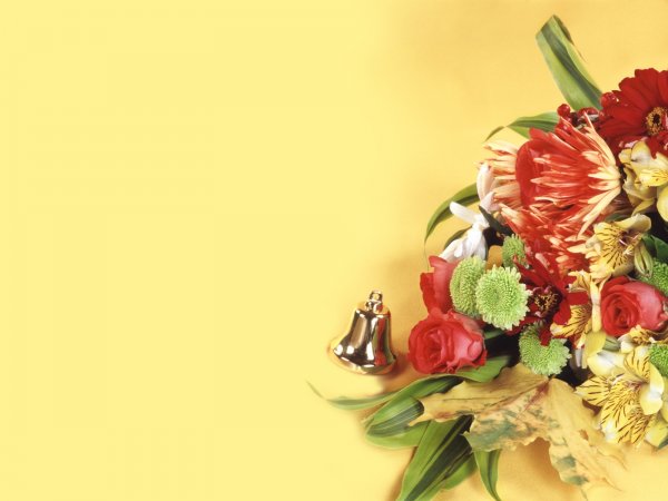 Стихи на день учителя