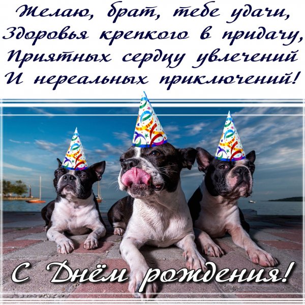 Смешные поздравления с днем рождения брату