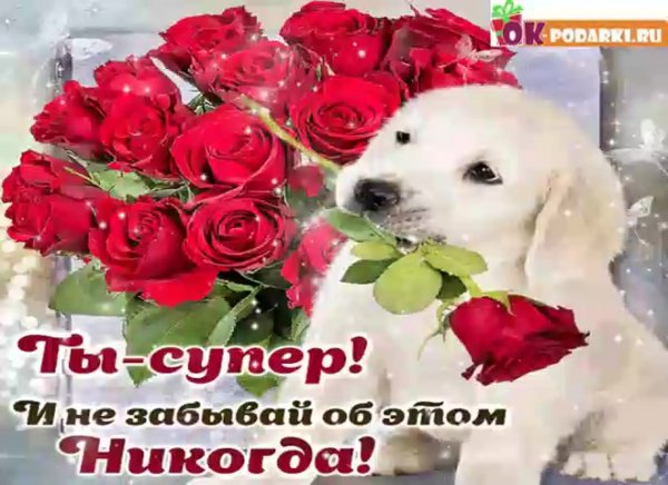 Подруга ты супер