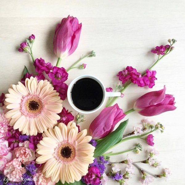 Интересные пожелания с добрым утром