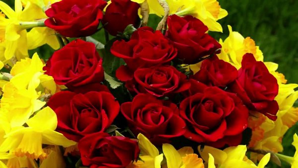 Поздравляем с юбилеем