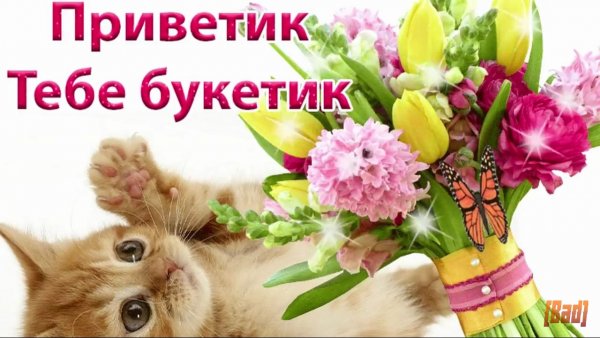 Привет открытки красивые