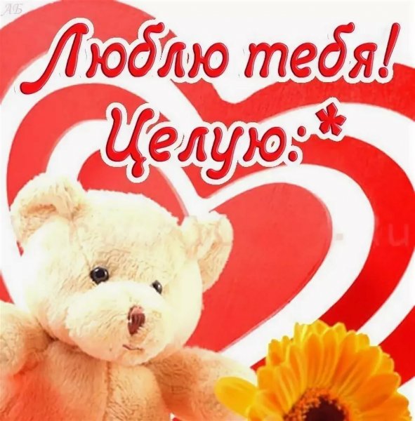 Залюблю тебя