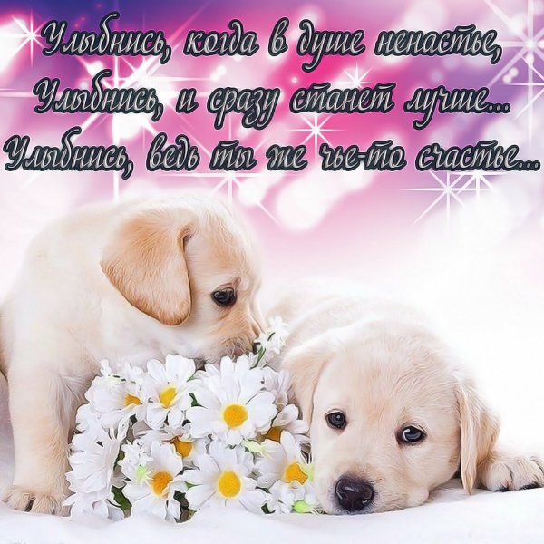 Милые стишки