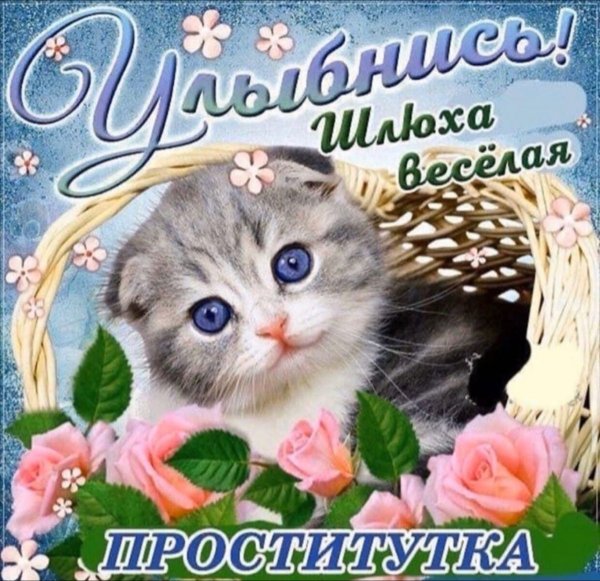 Открытки для поднятия настроения девушке