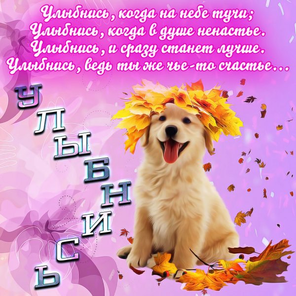 Открытки с пожеланием улыбнутся