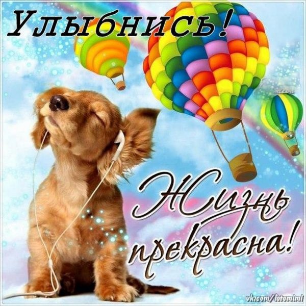 Открытки улыбнись