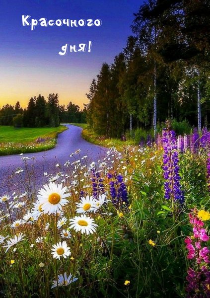 Красивые летние пейзажи