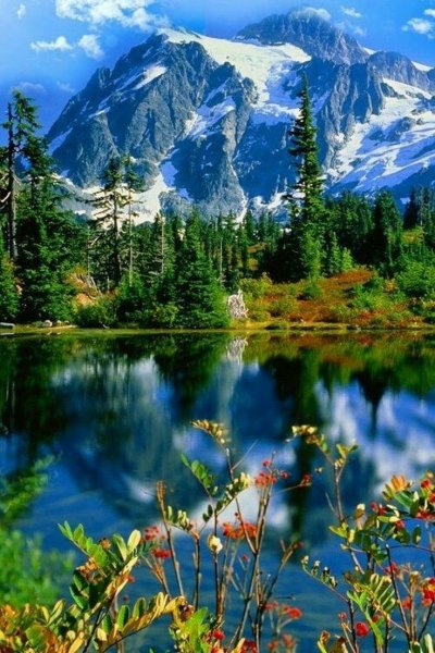 Пейзажи природы