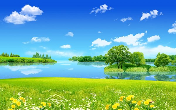 Пейзаж лето