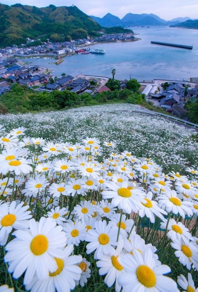 Красивое лето