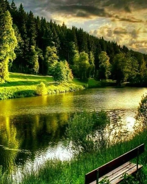 Пейзаж лето