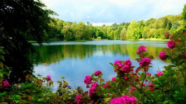 Красивая природа лето