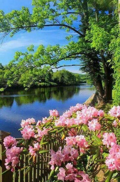 Райская природа