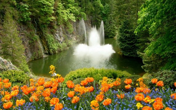 Водопад цветы