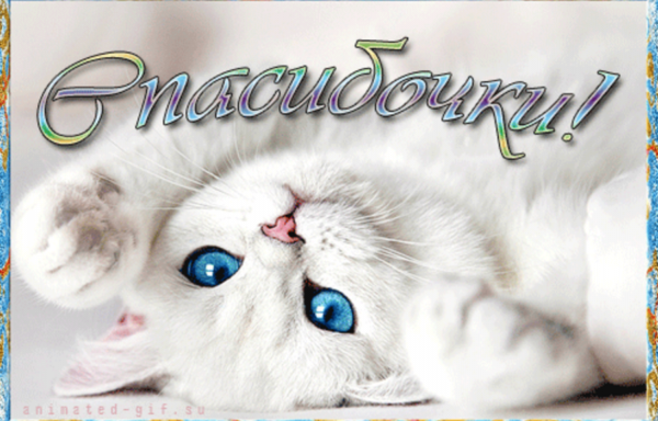 Спасибки картинки