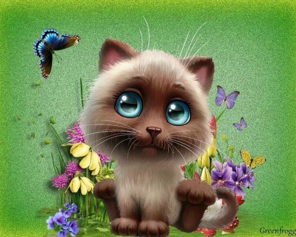 Лето анимация