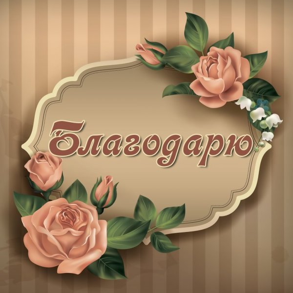 Спасибо благодарю