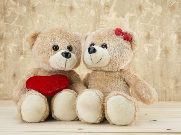 Целую обнимаю