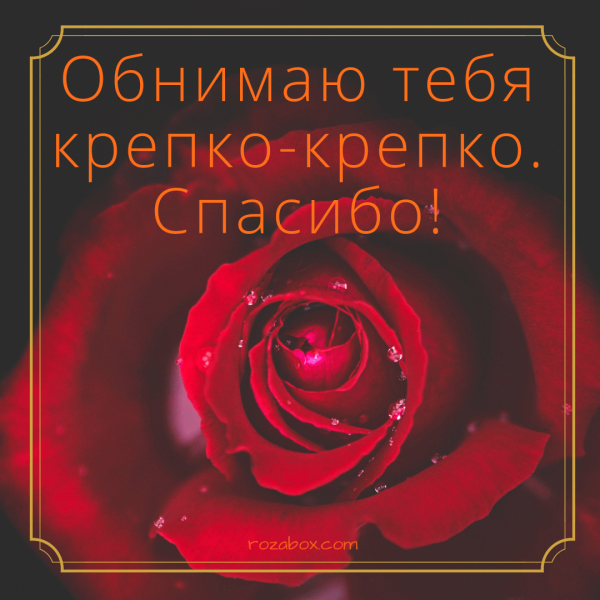 Крепко обнимаю и целую