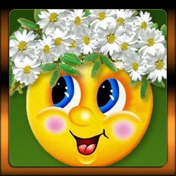 Ромашка с улыбкой