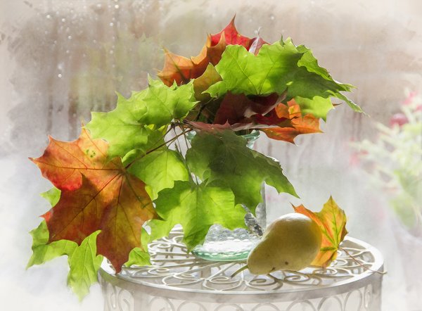 Осенняя анимация