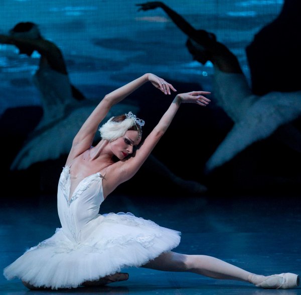 Екатерина Борченко Лебединое озеро