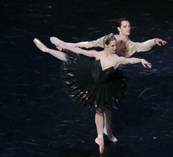 Зигфрид и Одиллия Надежда Павлова