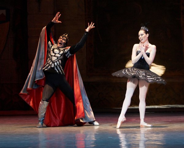 Лебединое озеро черный лебедь