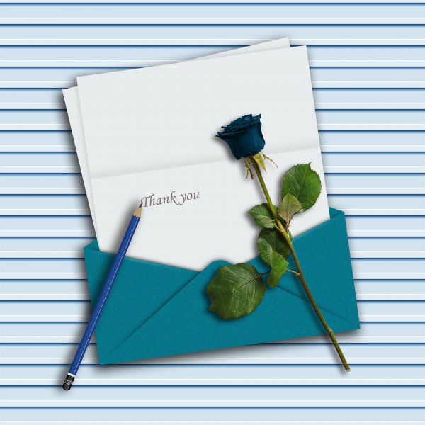 Спасибо за Отличный вечер