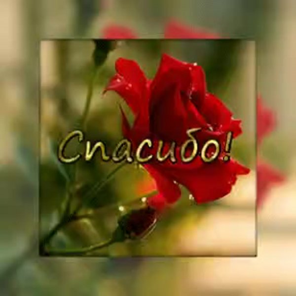 Стена взаимно