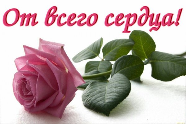 Стикер спасибо