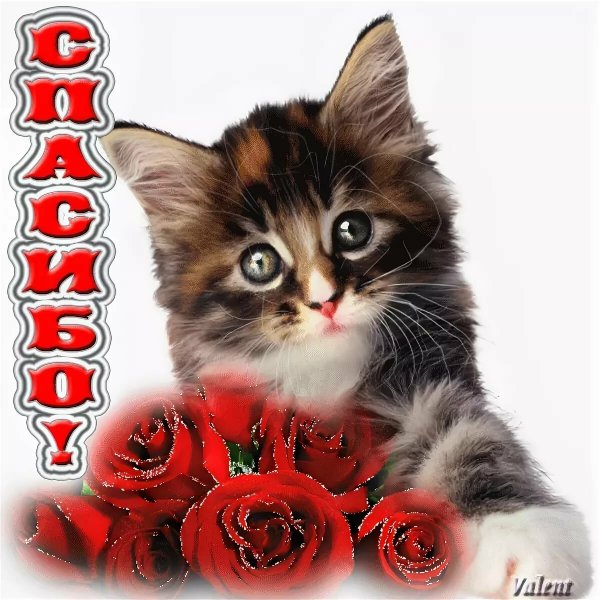 Красивые открытки моим друзьям