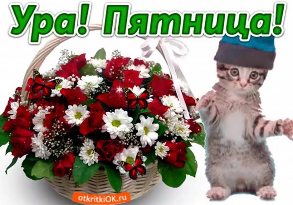 Картинка ура пятеицампришлп