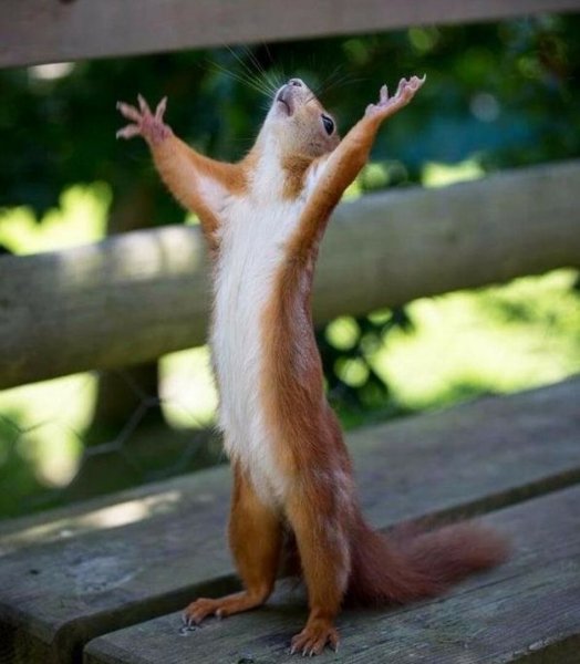 Ура выходные