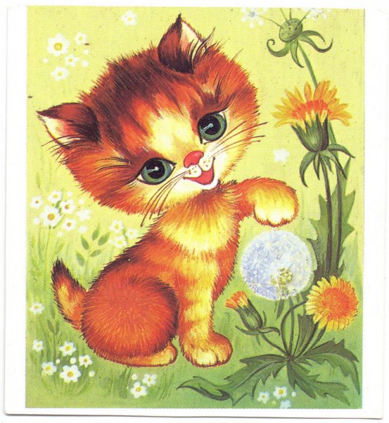 Рыжий кот открытка