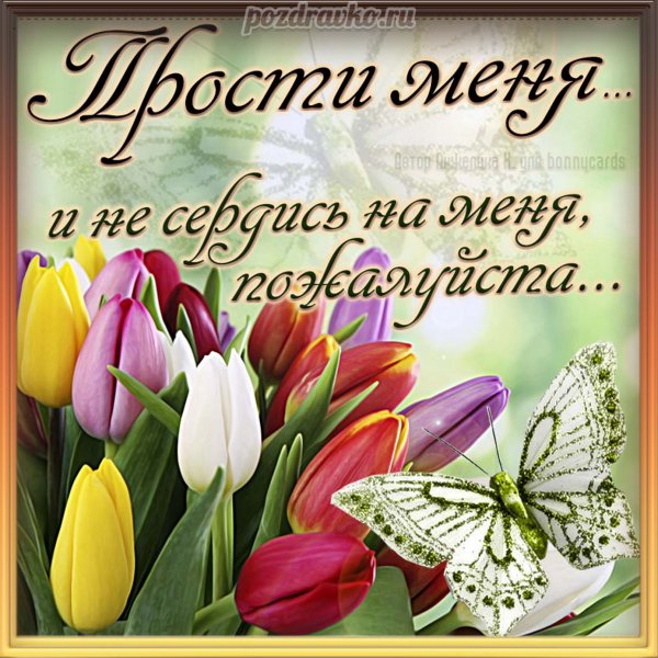 Открытки с извинениями