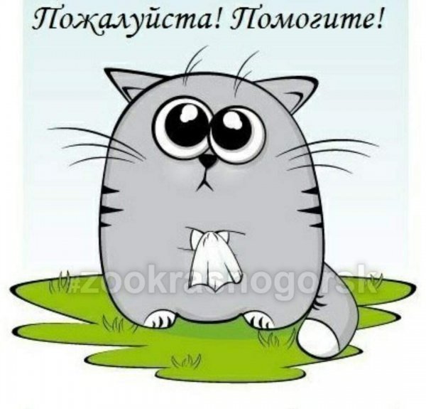 Рисунок прости меня