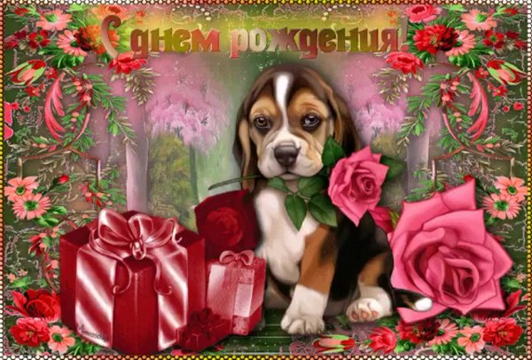 Открытка с днём рождения