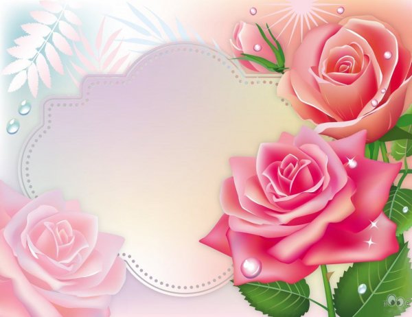 Красивые цветочные фоны для поздравительных открыток